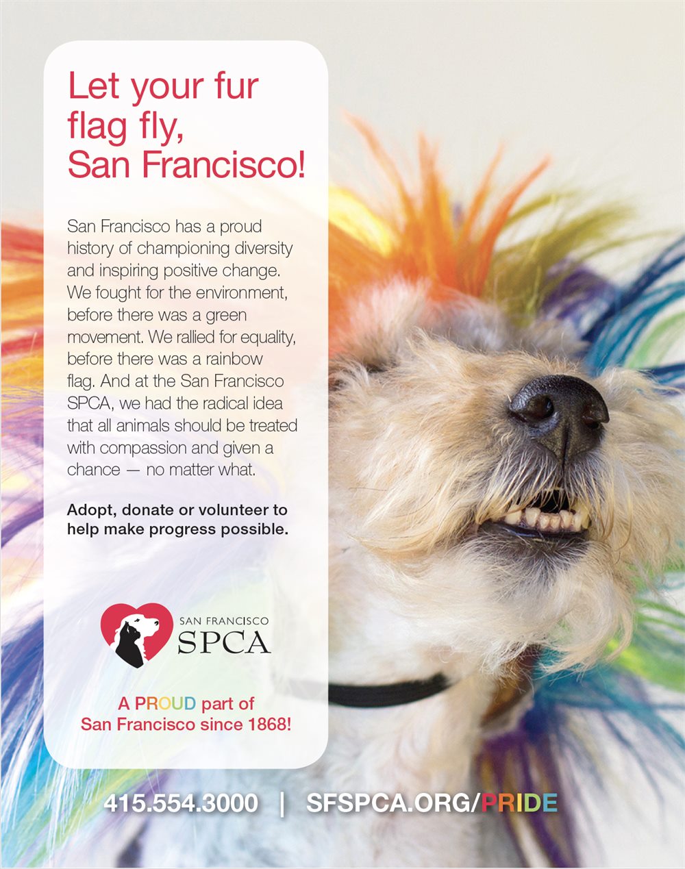 “Let your fur flag fly, San Francisco!” Pride advertisement